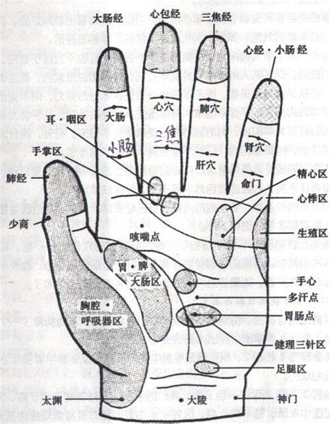 左手無名指穴道